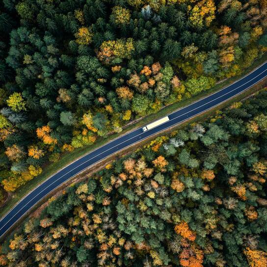 Peppermint - Environment - Truck in forest A truck travels along a winding road through a dense forest with vibrant autumn foliage, highlighting environmental beauty.